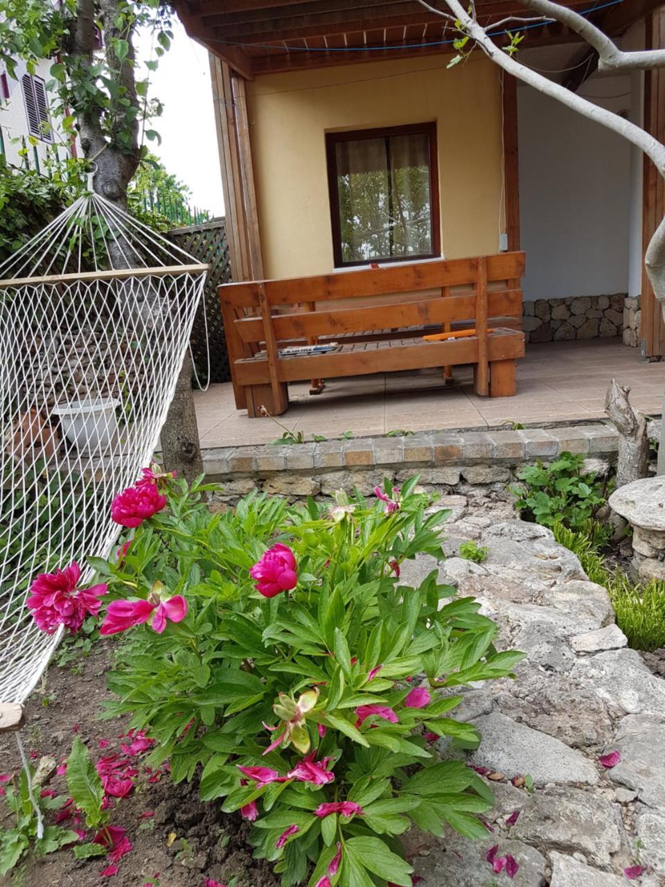 Casa Nikita Ξενοδοχείο Vama Veche Εξωτερικό φωτογραφία