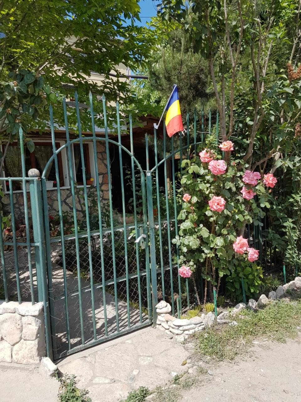 Casa Nikita Ξενοδοχείο Vama Veche Εξωτερικό φωτογραφία