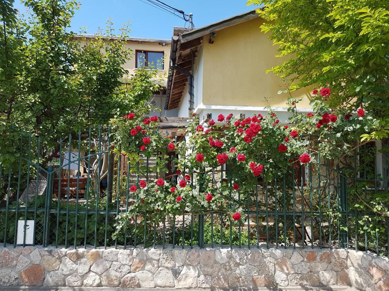 Casa Nikita Ξενοδοχείο Vama Veche Εξωτερικό φωτογραφία